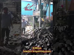 WANSHIDA 금속 칩/알루미늄/보리/황제/일강 자본을 위한 폐기물 브리케팅 프레스 머신